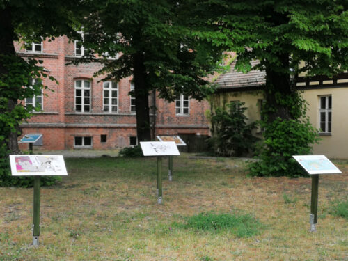 AUSERLESENES_open_air_Koepenick_5