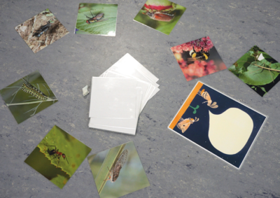 Projekte_A-wie-Alphabet_2025_3