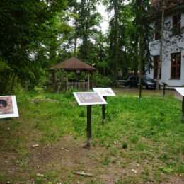 AUSERLESENES in der Villa Pelikan