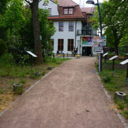 AUSERLESENES in der Villa Pelikan