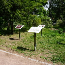 AUSERLESENES in der Villa Pelikan